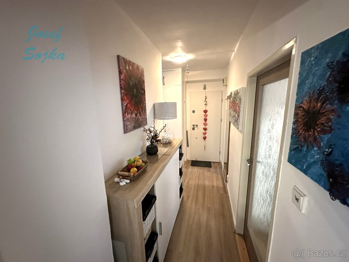 Prodej DB na ul. Provazníkova, 2+1, 57m2 - 5