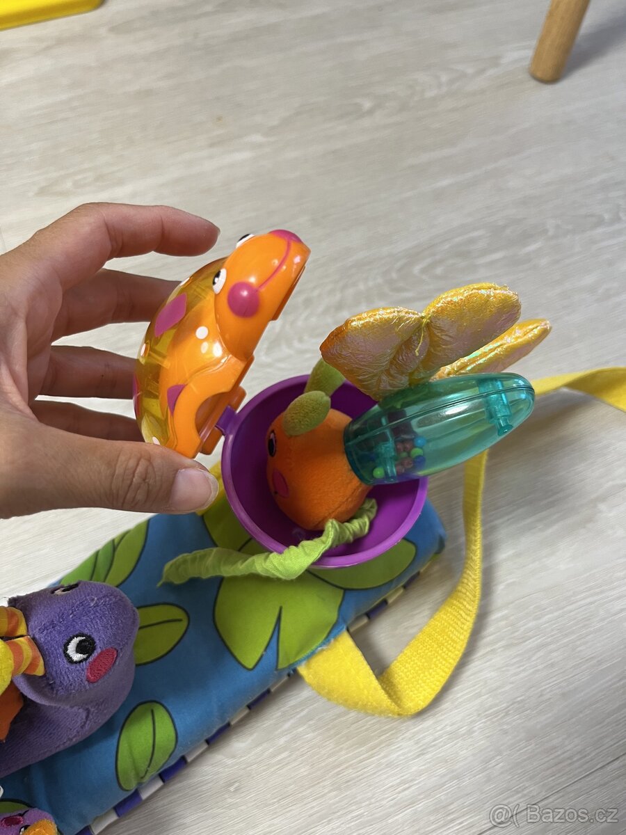 Hrazdička Sassy - 5