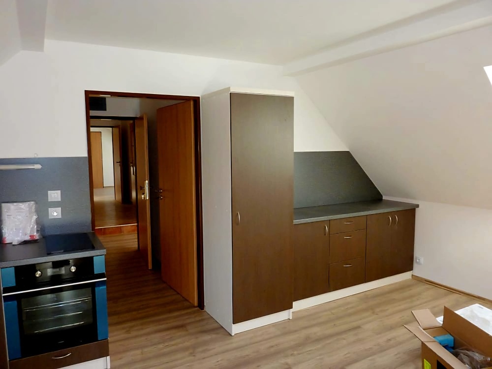 Prodej RD se 3 bytovými jednotkami, Božkovské náměstí, Plzeň - 5