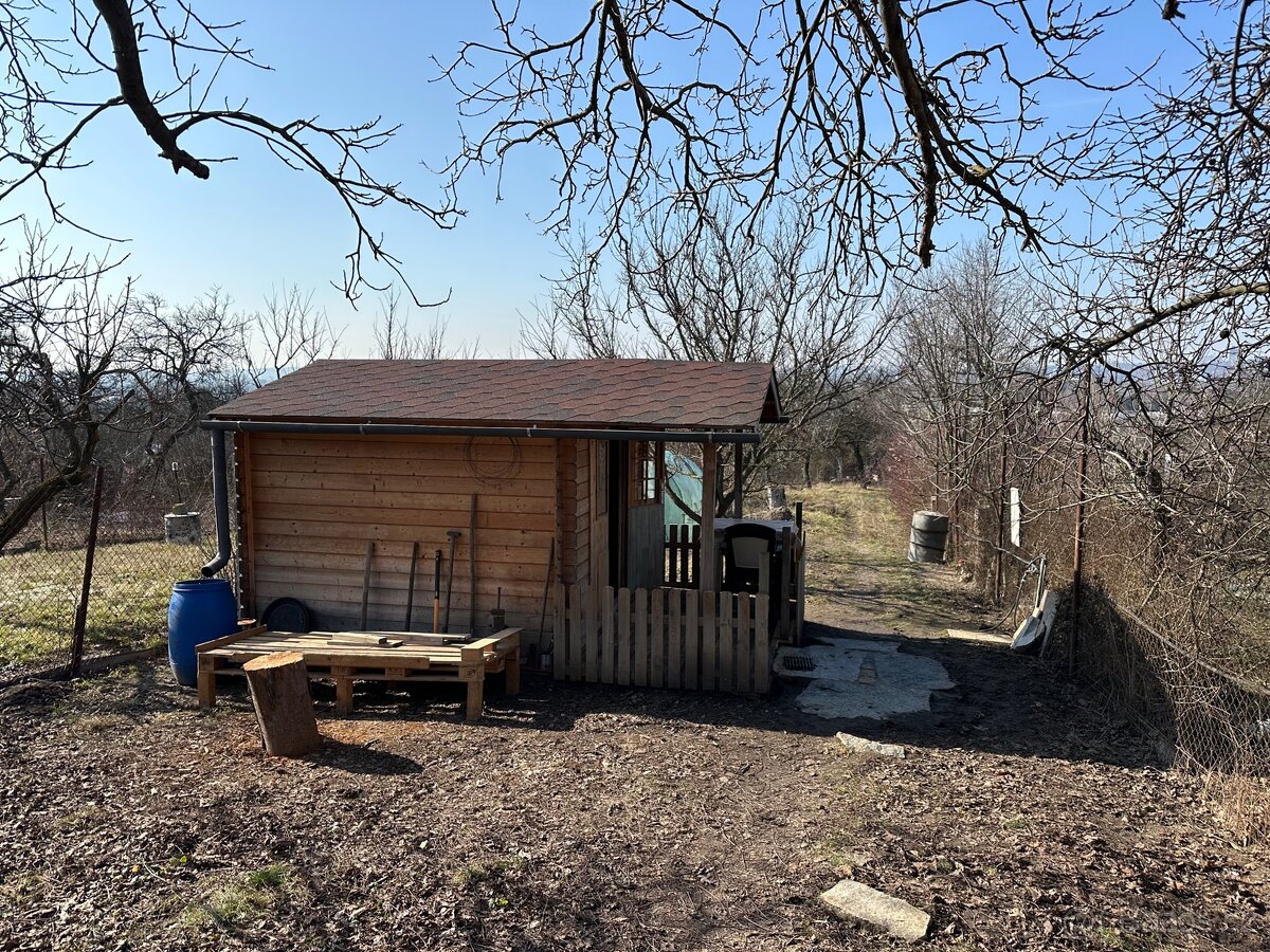 Zahrada pronájem - 5
