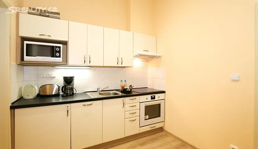 Pronájem bytu 1+1 40 m² Máchova, Praha - Vinohrady - 5
