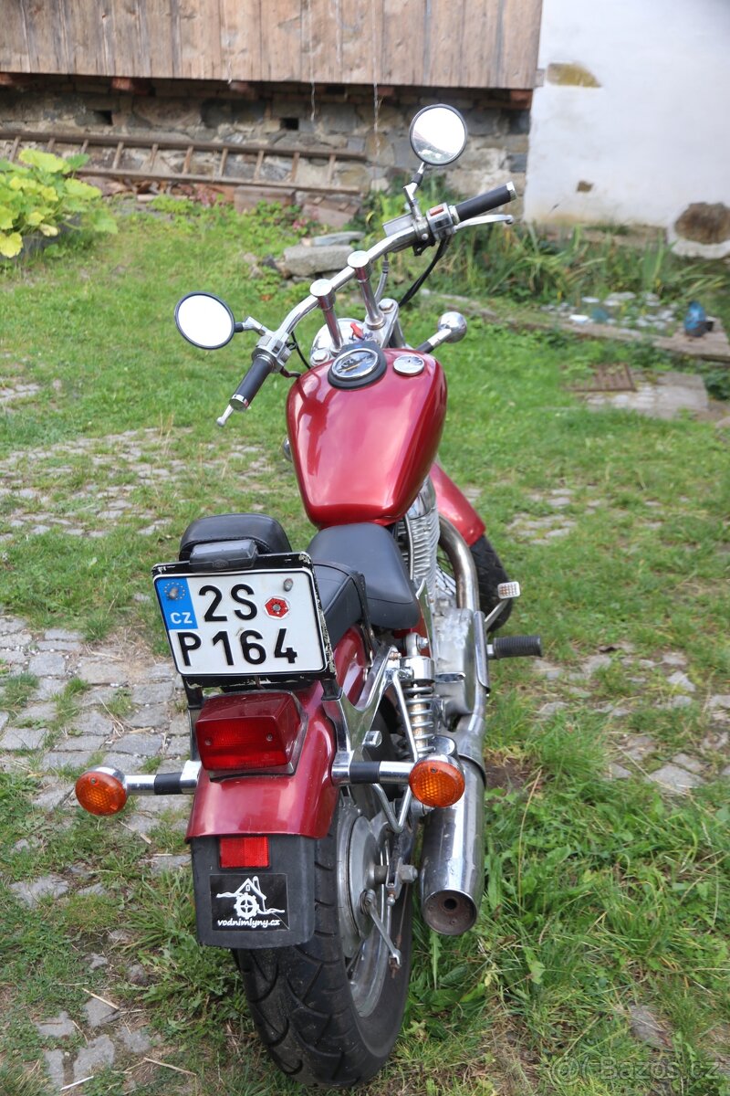 Suzuki Savage - rat - 5