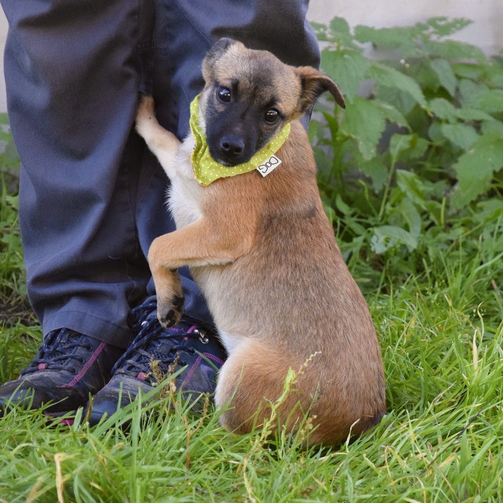 Samko hledá domov - 5