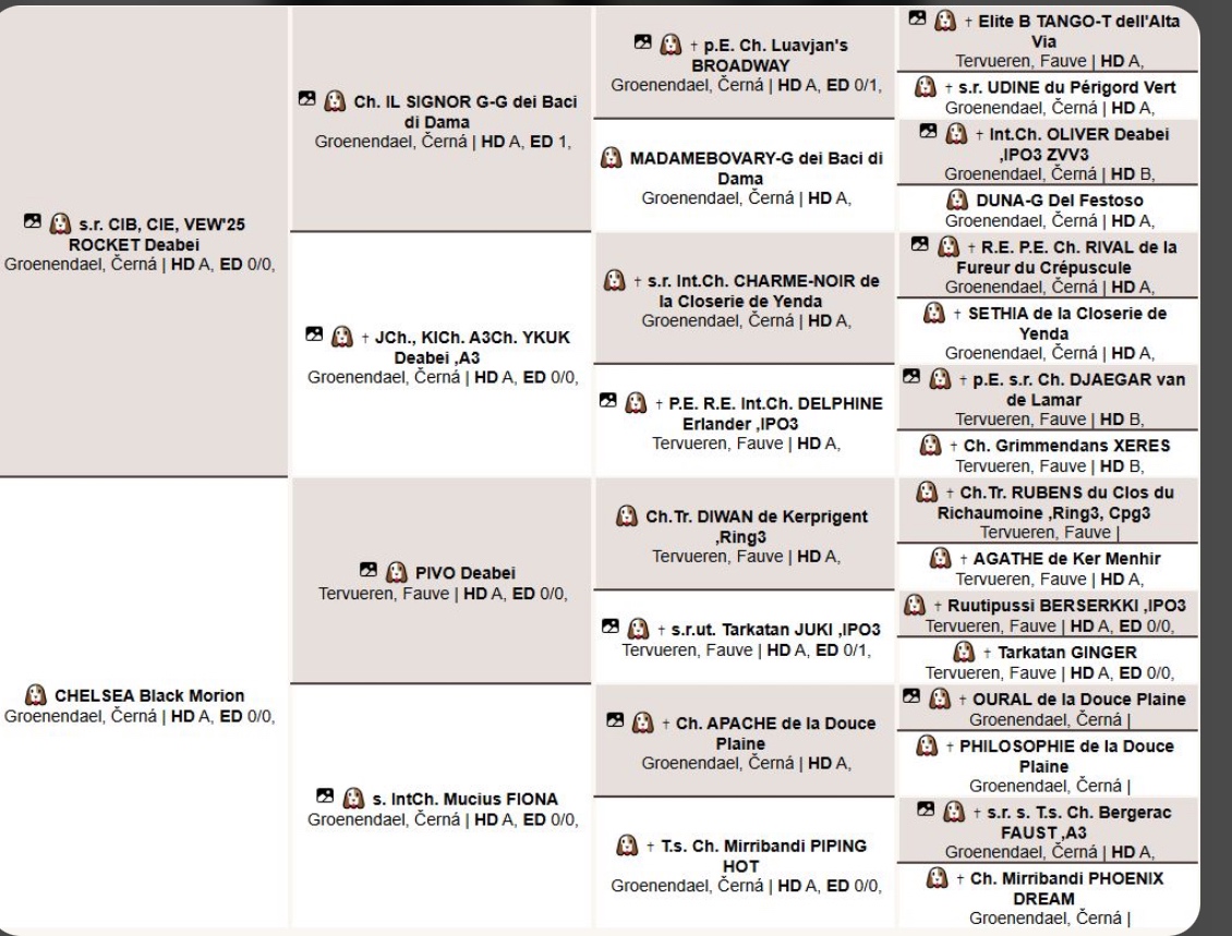 Belgický ovčák groenendael a tervueren s PP - 5
