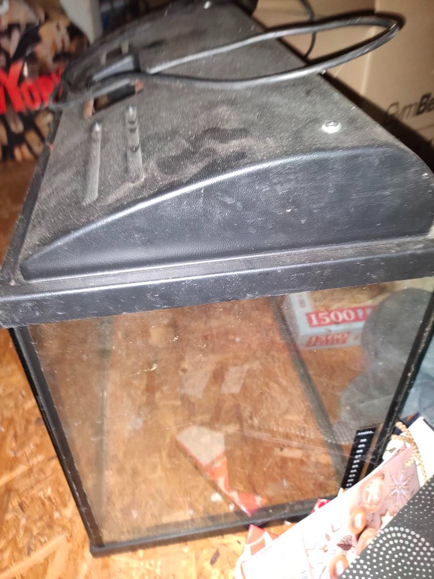 Akvarium s vybyvením - 5