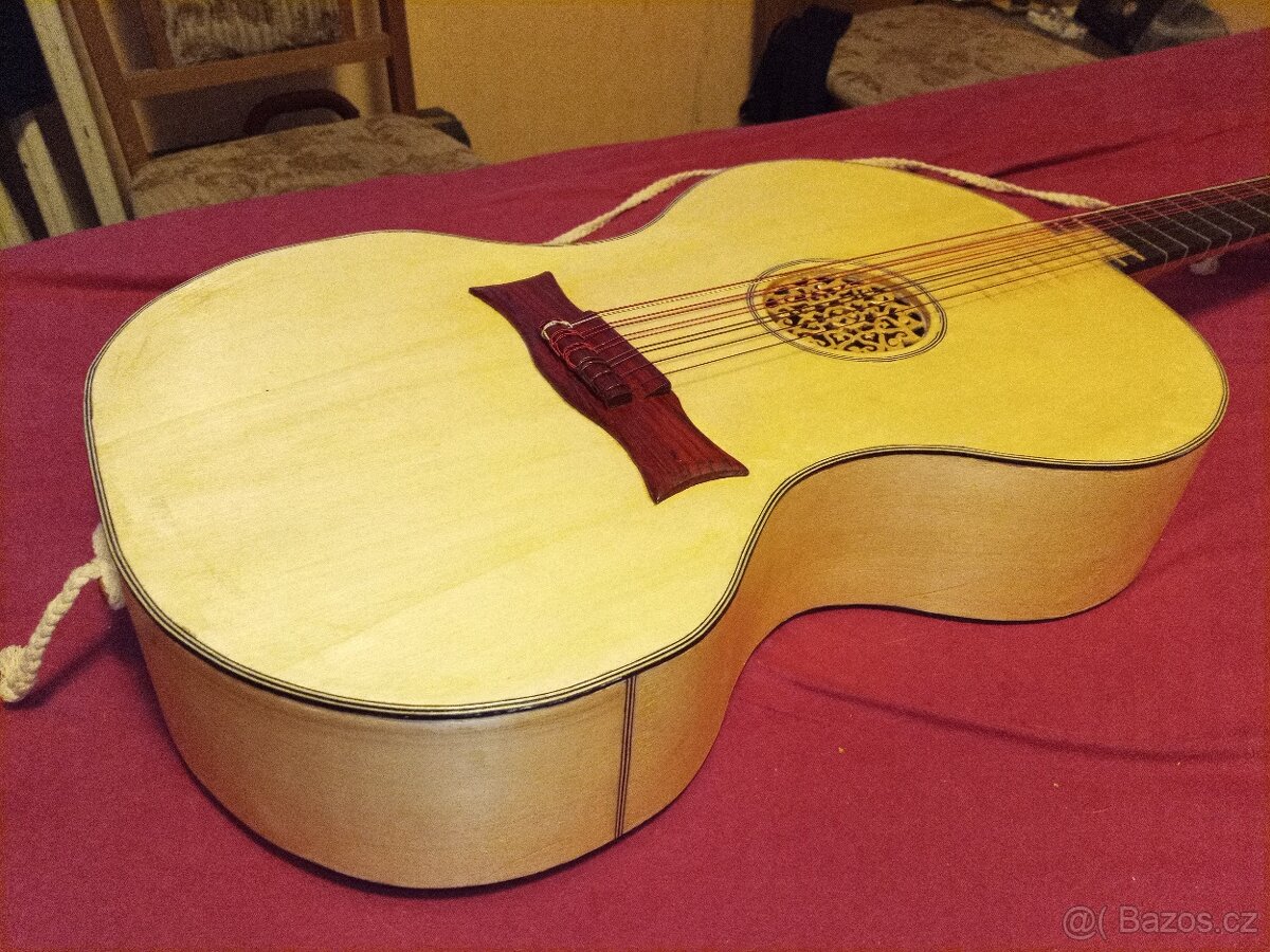 netradiční desetistrunná kytara - 5