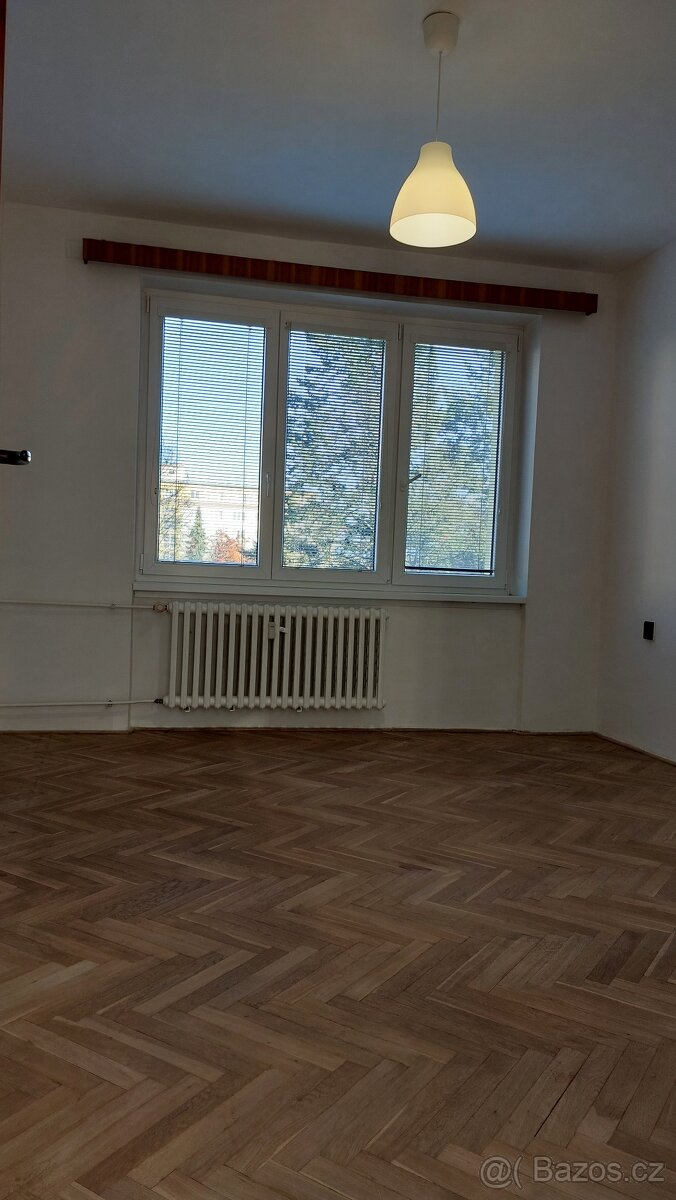 2+1 Třebíč Domky - 5