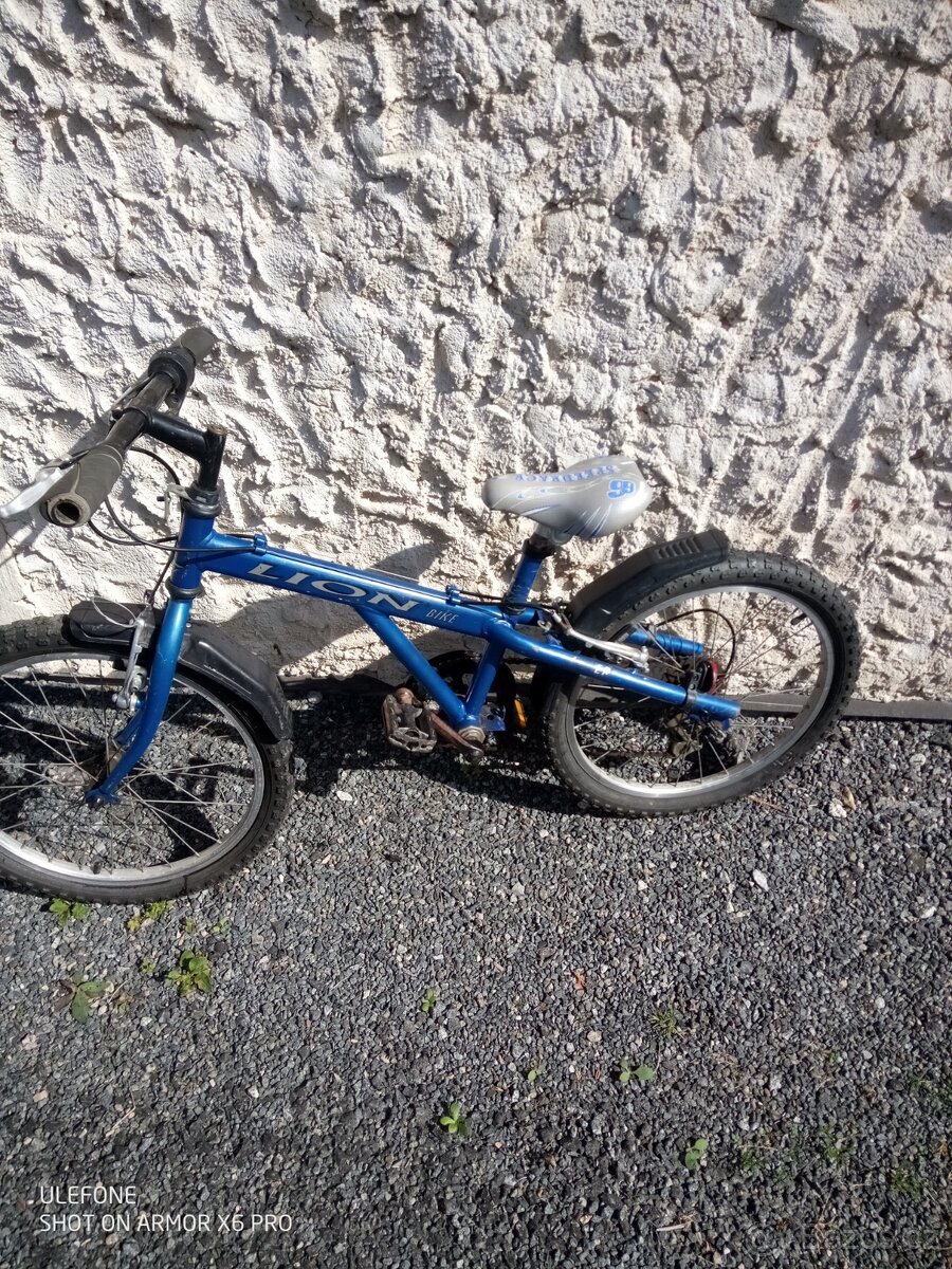 Dětské kolo 20 Lion Super - 5