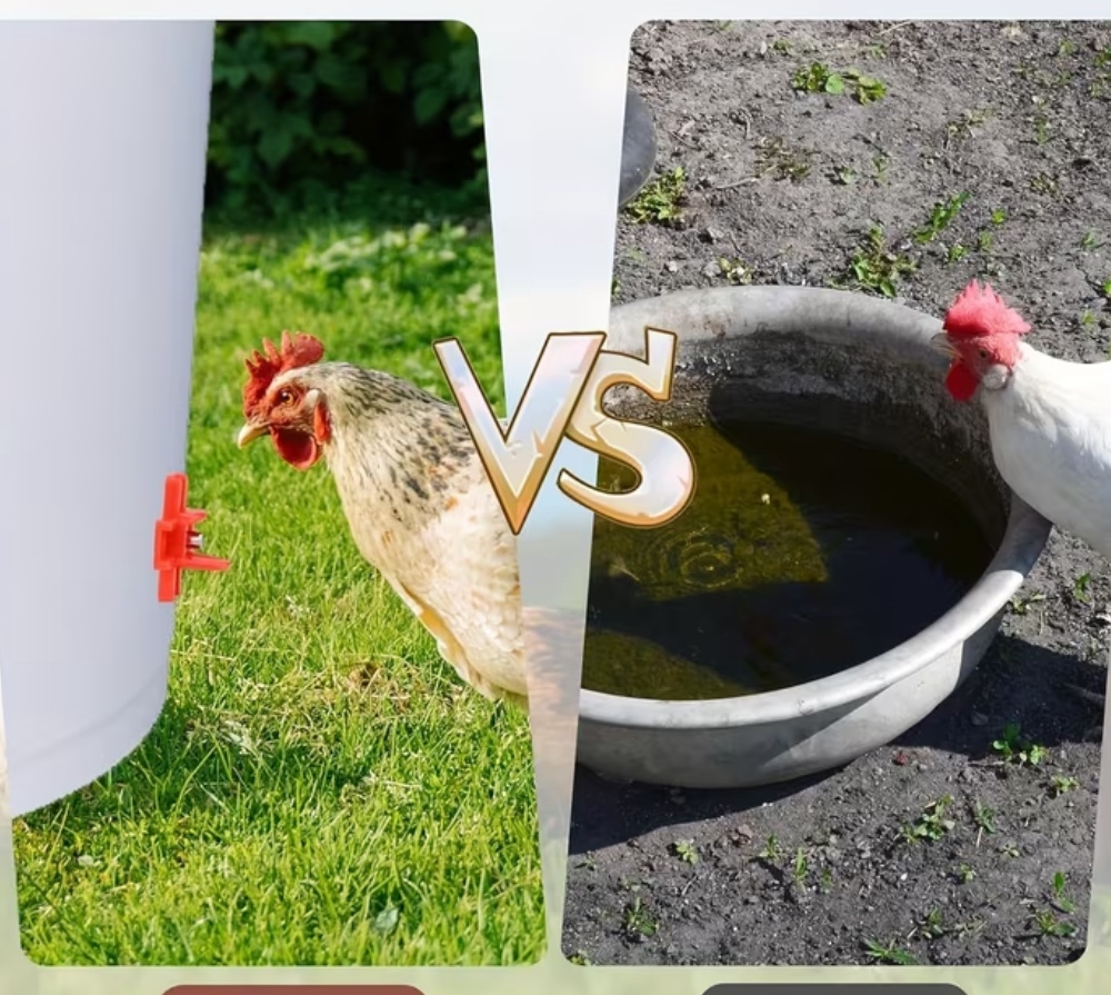 Napaječky pítka pro slepice ČISTÁ VODA - 5