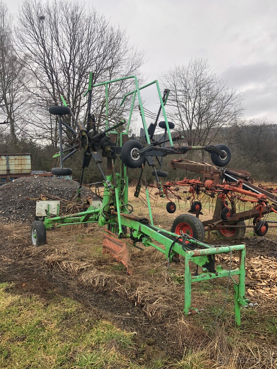 Shrnovač středový - 5