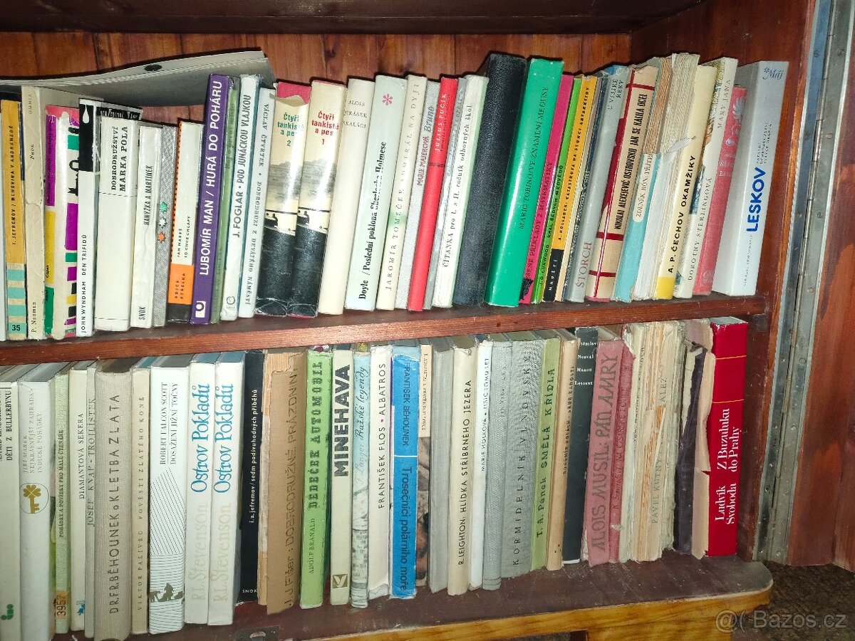 Knihy pro děti a mládež - 5