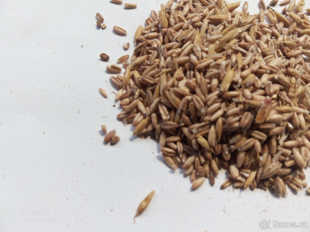 Krmení pro slepice, králíky i koně - 5