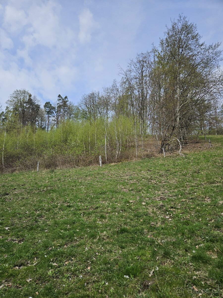 Lesní pozemek - 5