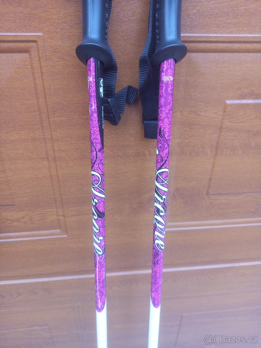 Lyžařské hůlky - 5