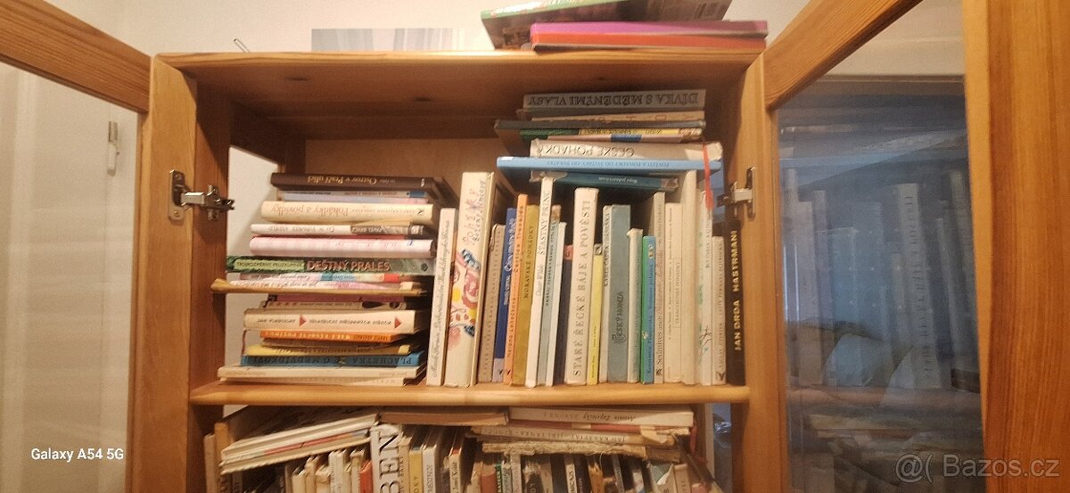 Knihovna borovice masiv - 5