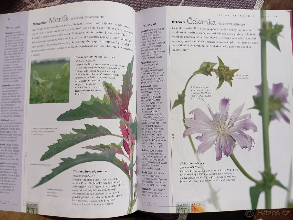 Velká kniha o bylinkách - 5