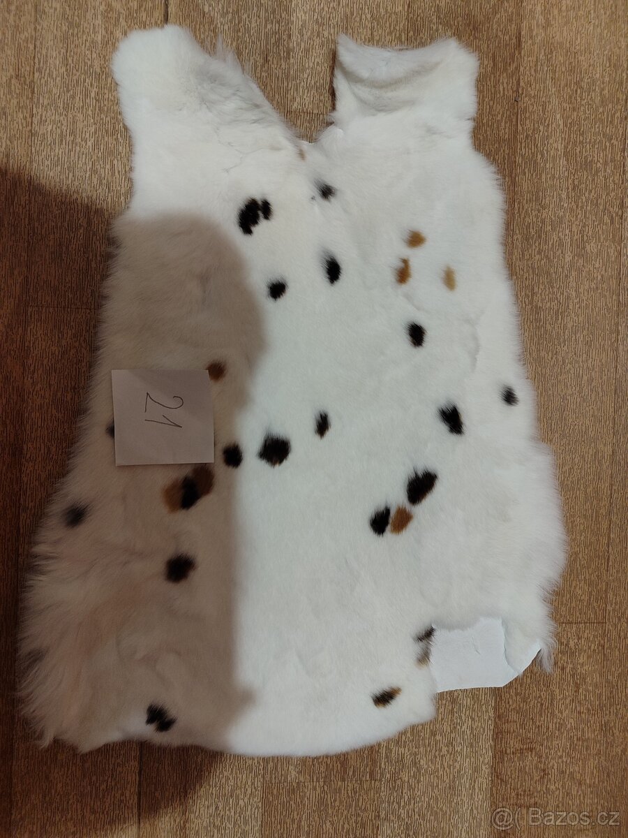 Vyčiněné králičí kůže (2. Inzerát) - 5