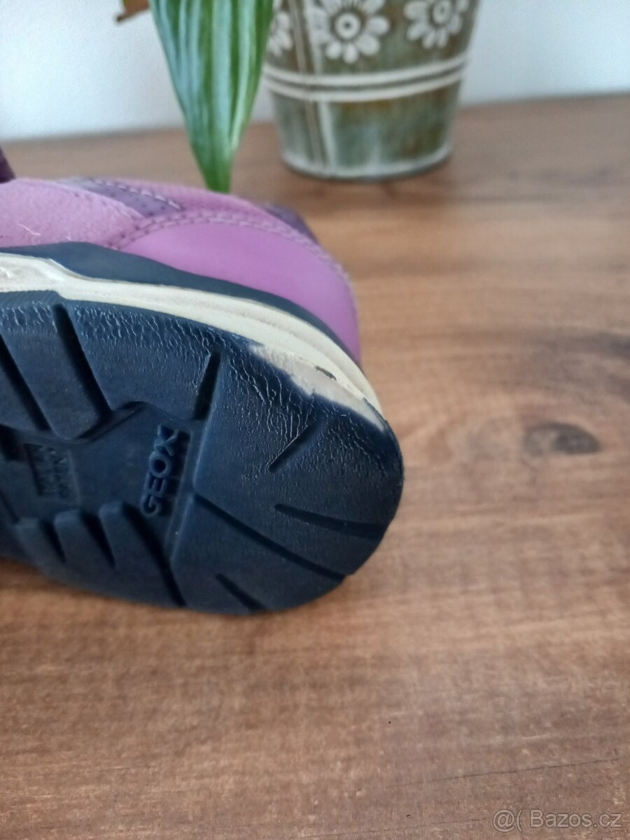 Botasky geox 26 - 5