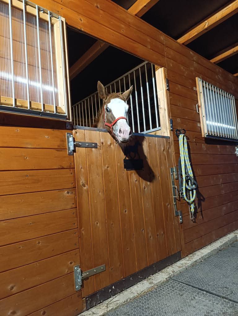 Pastevní ustájení - 5