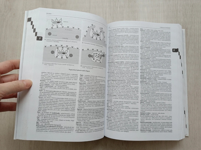 Velký lékařský slovník - Vokurka, Hugo - 5