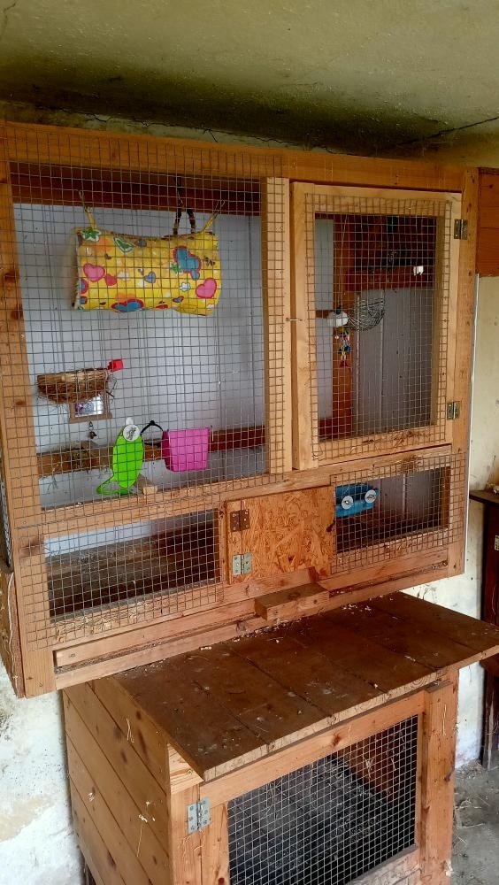 Voliéra pro kanárky - 5