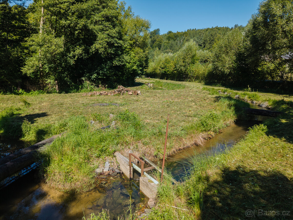 Pronájem rybích sádek, Nové Hrady - 5
