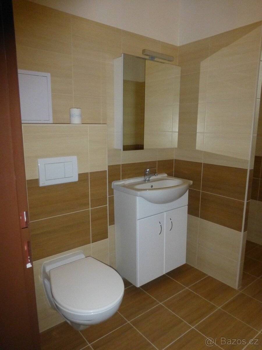 Byt 1+kk v Libodřicích u Kolína - 5