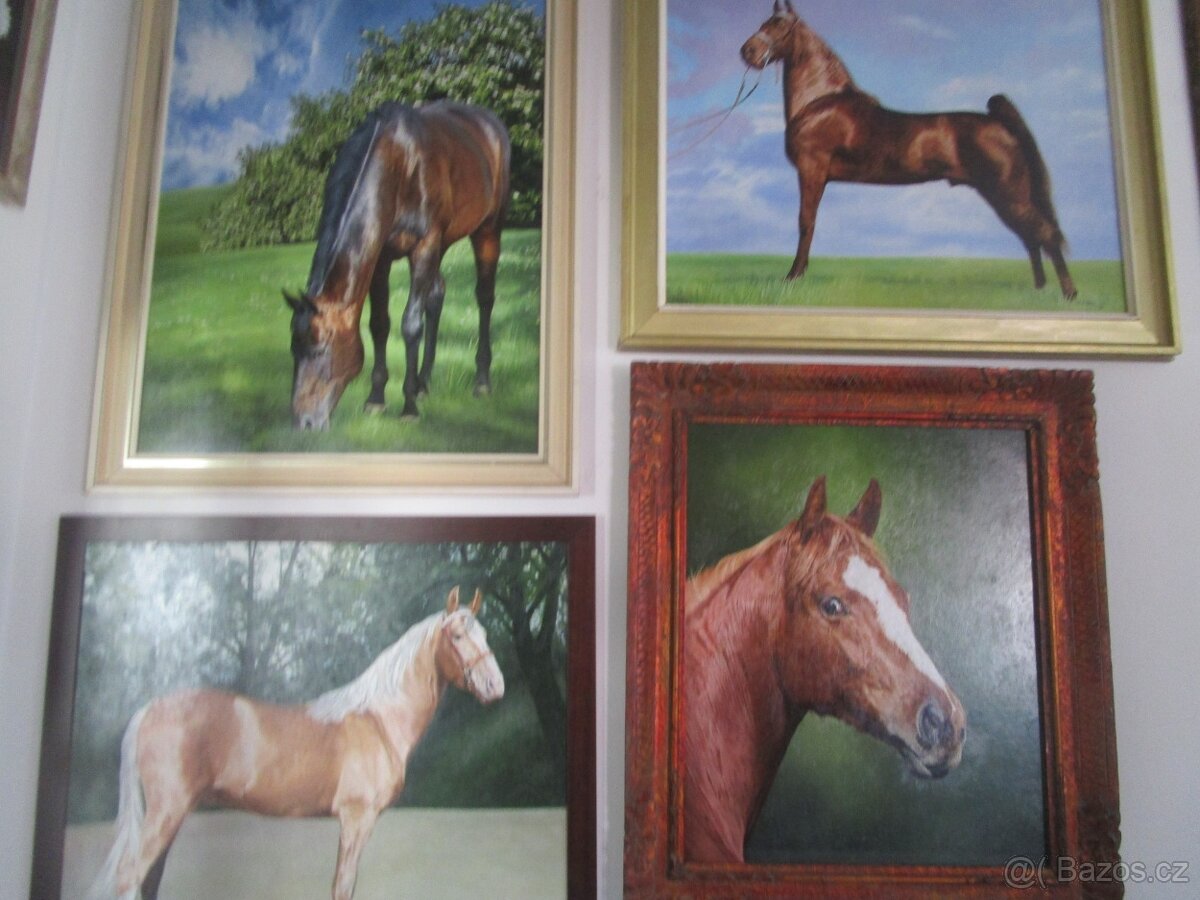 koně-potřeby - 5