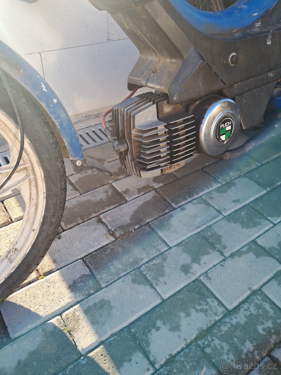 Manet korado Babeta 210 - 5