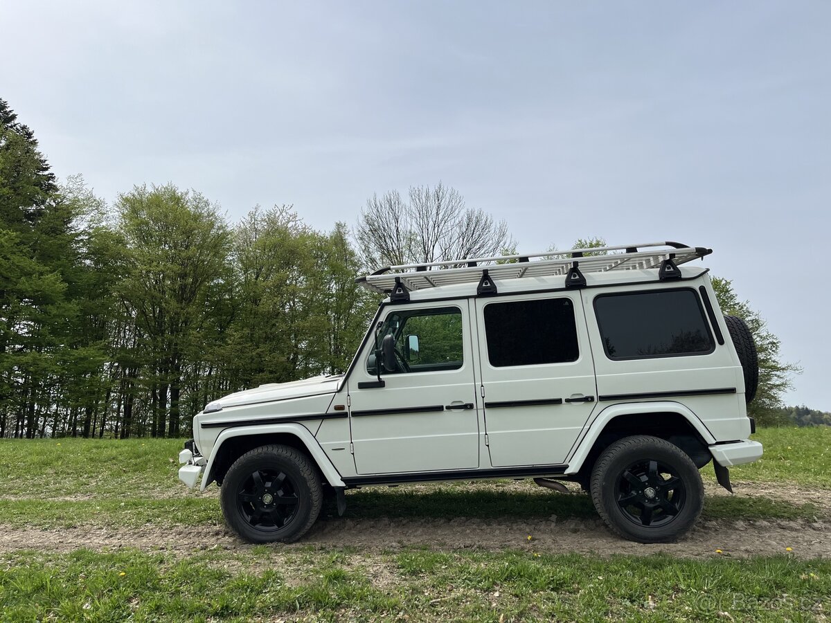Mercedes Benz G 300 cdi Professional