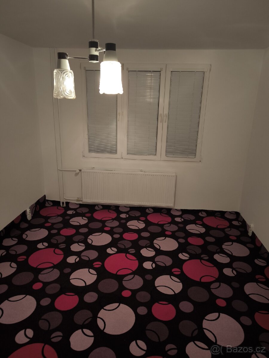 Pronájem bytu - 5