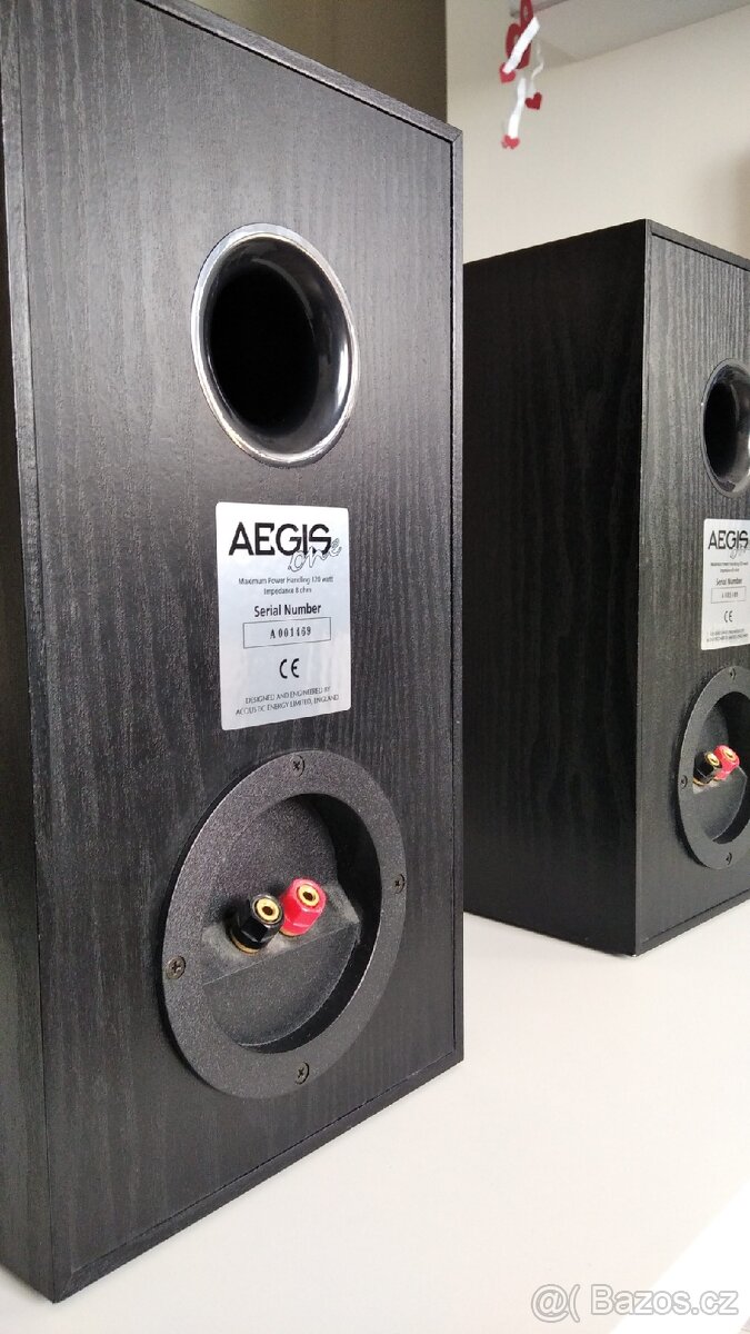 Acoustic energy Aegis One - 5