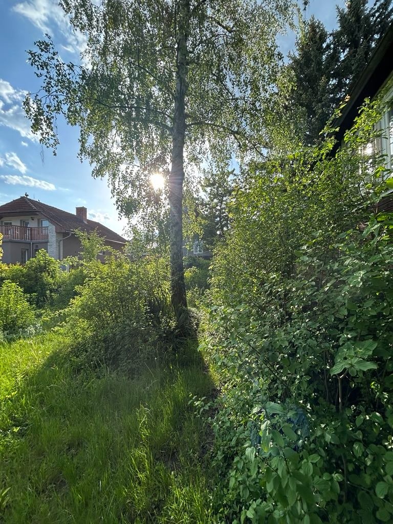 Prodej rodinného domu v Lounech - 5