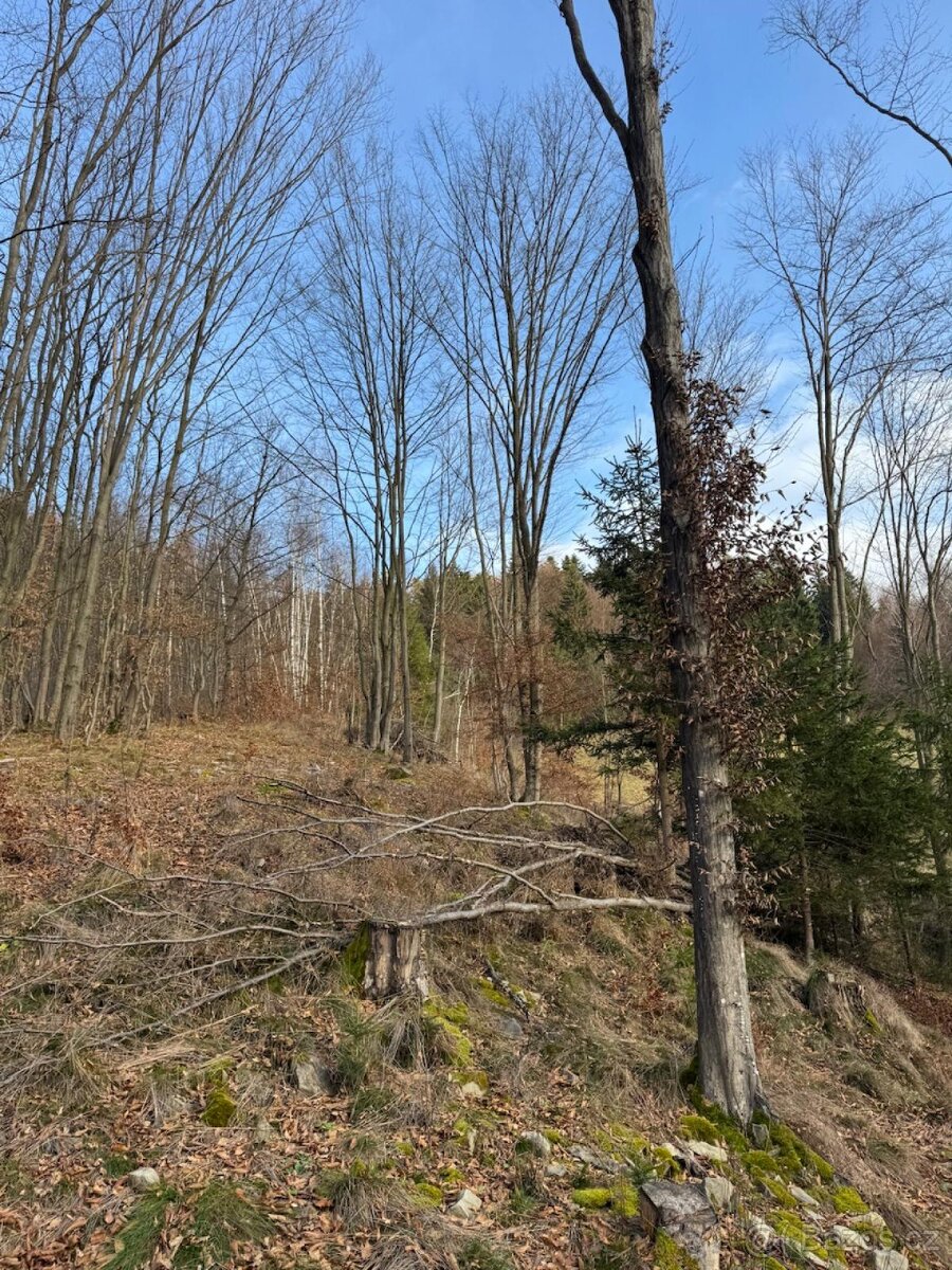 Prodej pozemků k.ú. Huslenky (1) - 5