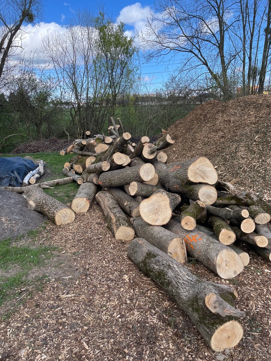 Prodej štípaného dřeva nebo kulatina - 5