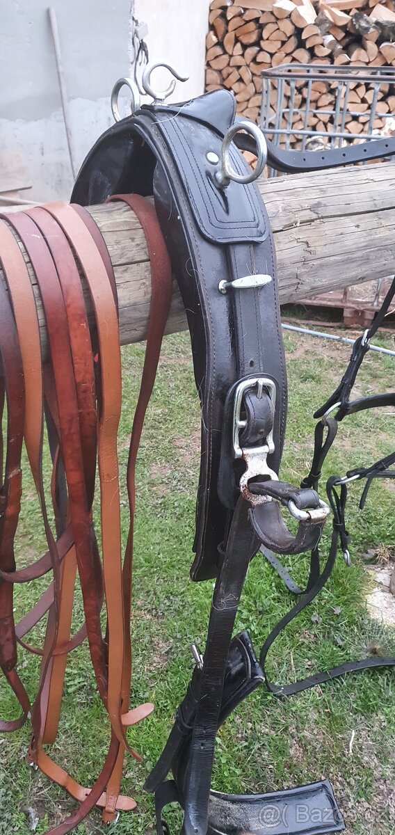 Poprsni koženy postroj full - 5