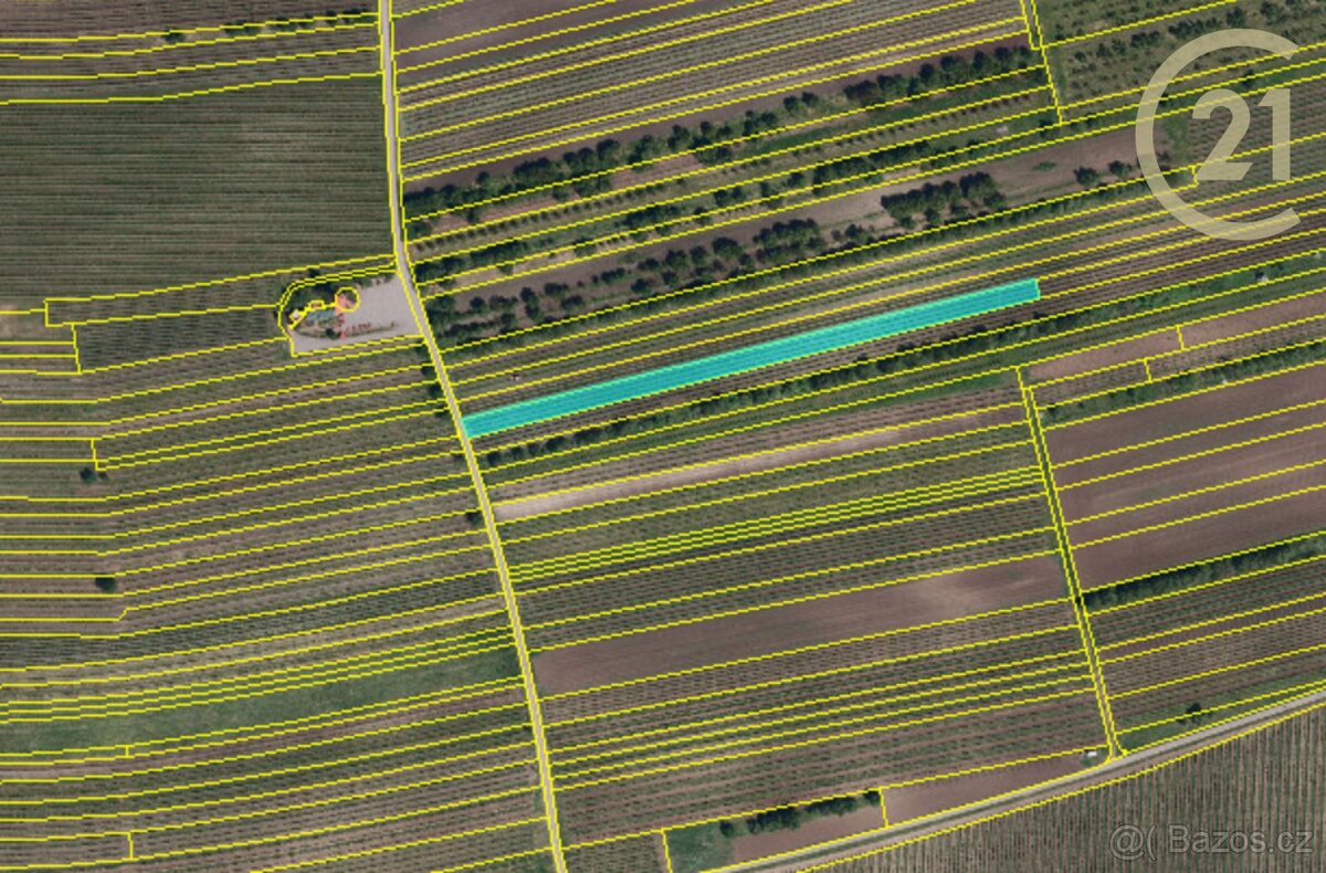 Prodej zemědělských a investičních pozemků ve Velkých Pav... - 5