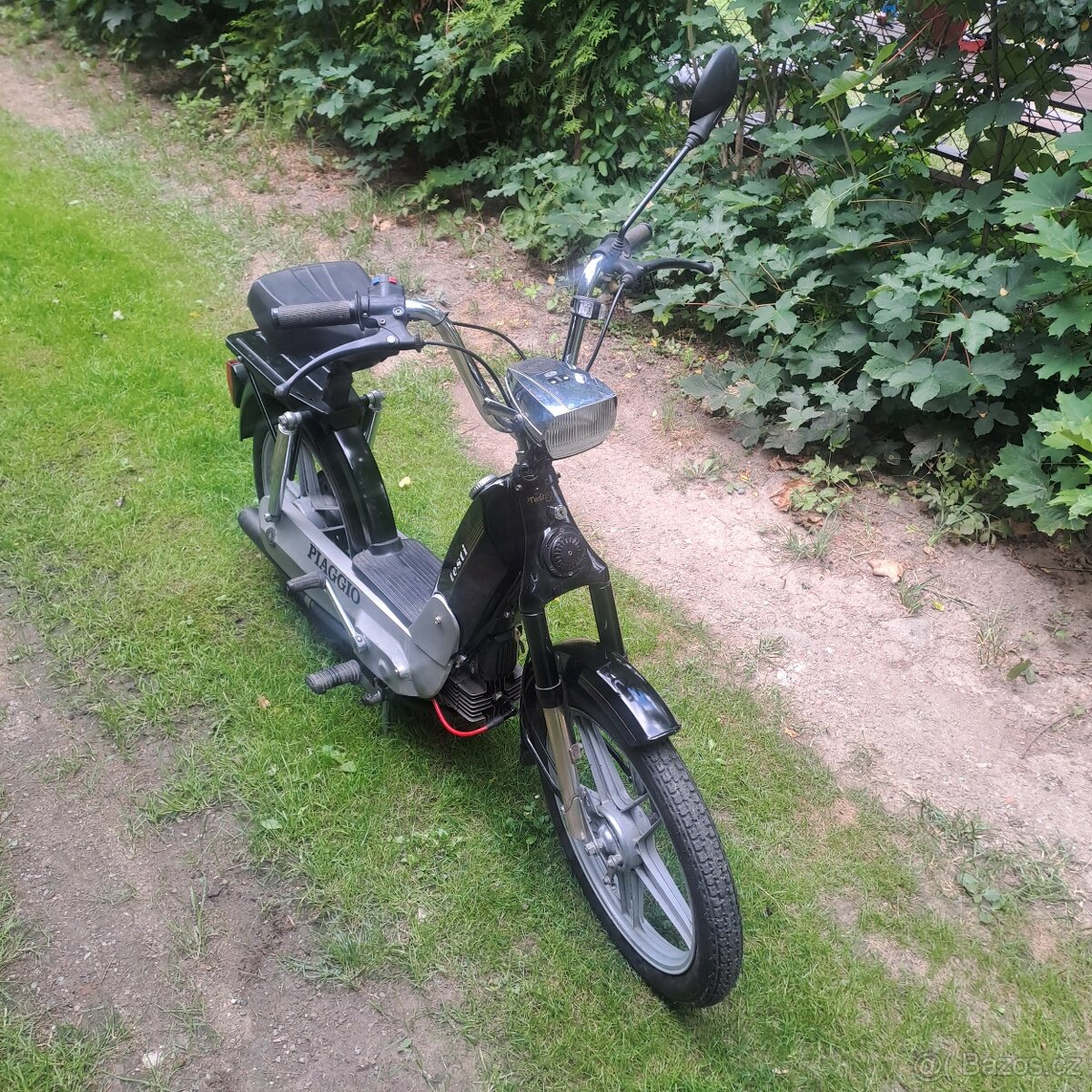 Testi zanella - 5