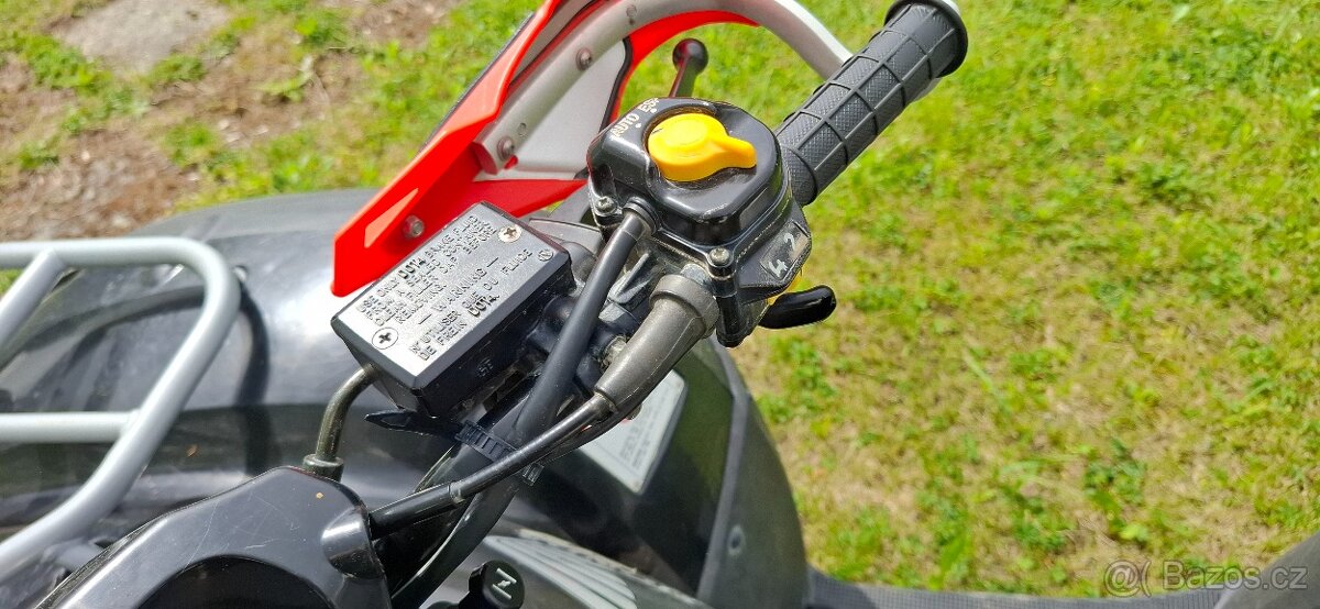 HONDA TRX 650 RINCON ( 2009)