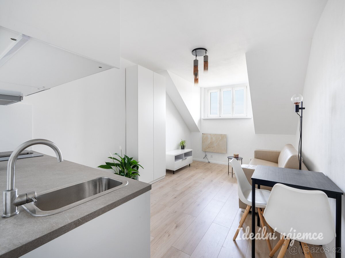 Pronájem bytu 1+kk, Petra Rezka, Nusle, 23 m2 - 5