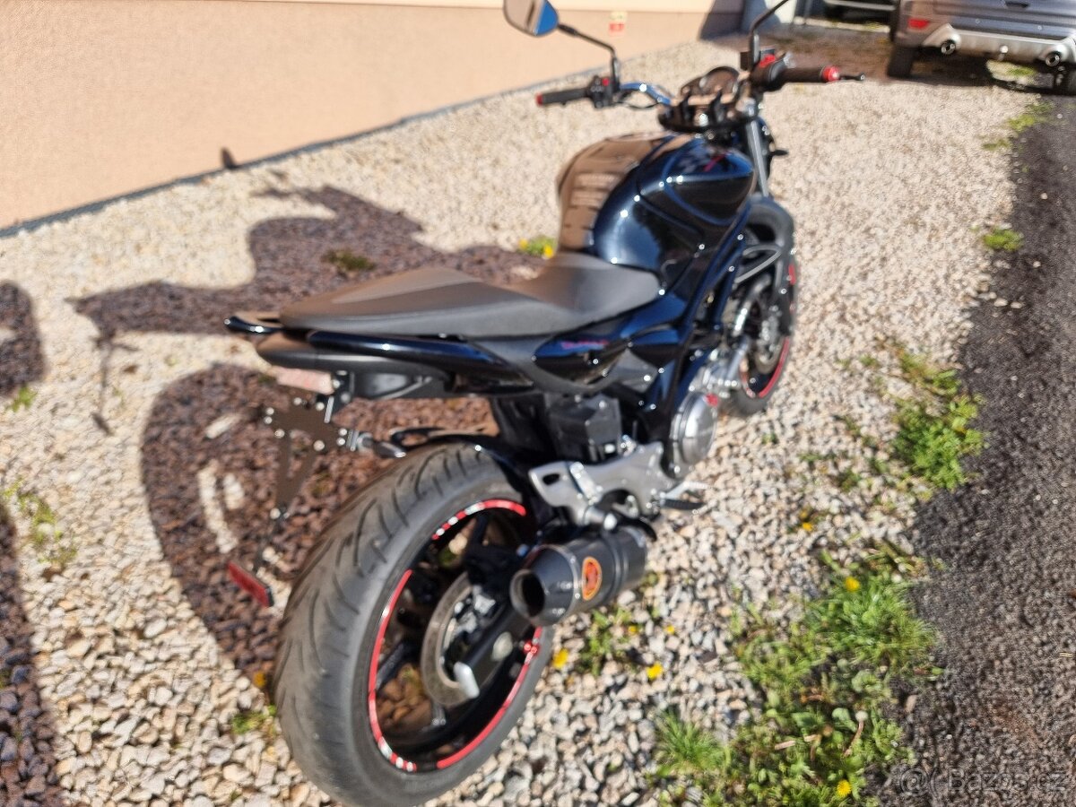 Suzuki SFV Gladius 650 - 5