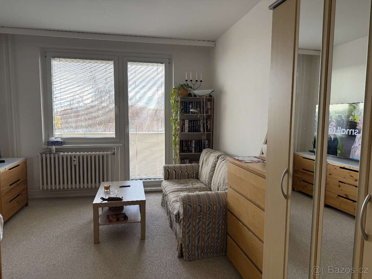 Pronájem bytu 1+1 41 m², Bystrc - 5