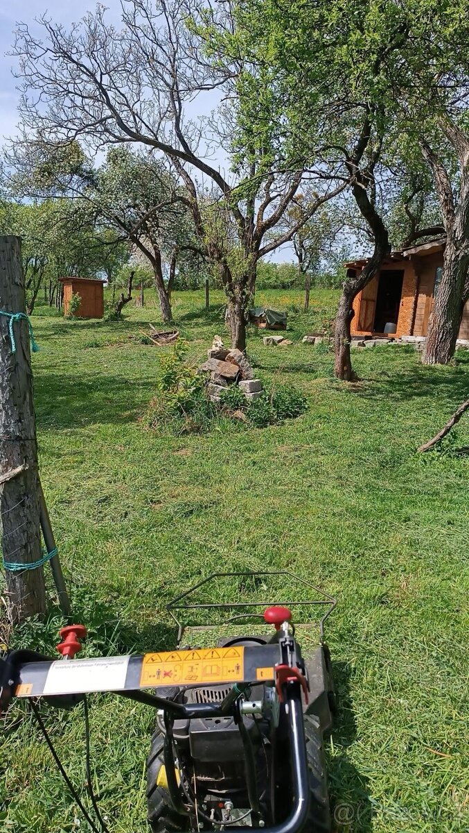 Údržba zeleně - Kácení, Mulčování, Renovace, Štěpkování - 5