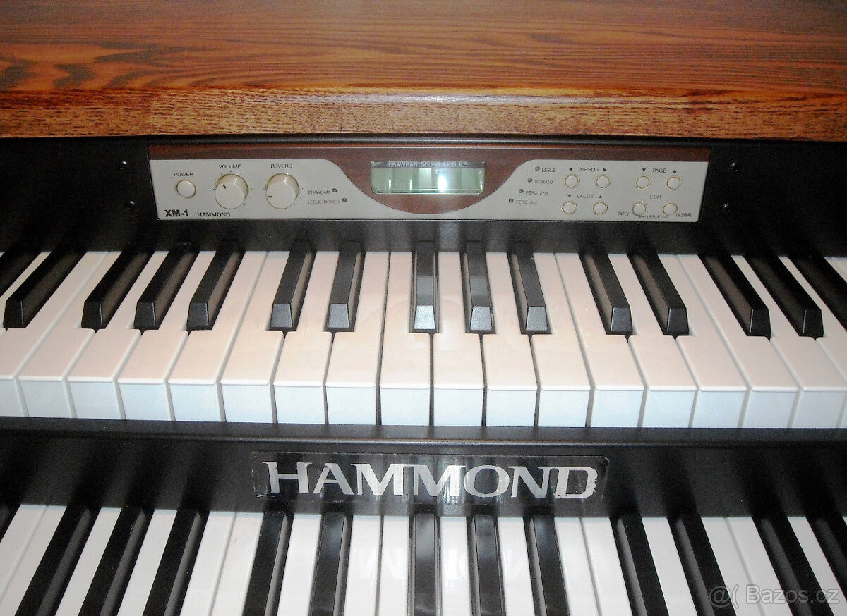 HAMMOND XM / ICON - 5