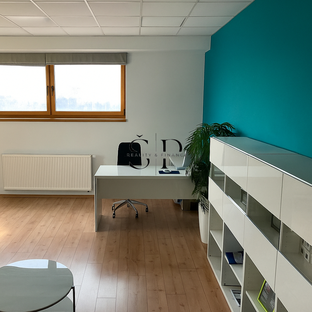 Pronájem obchodních prostor vhodných pro služby, 35 m2 Plzeň - 5