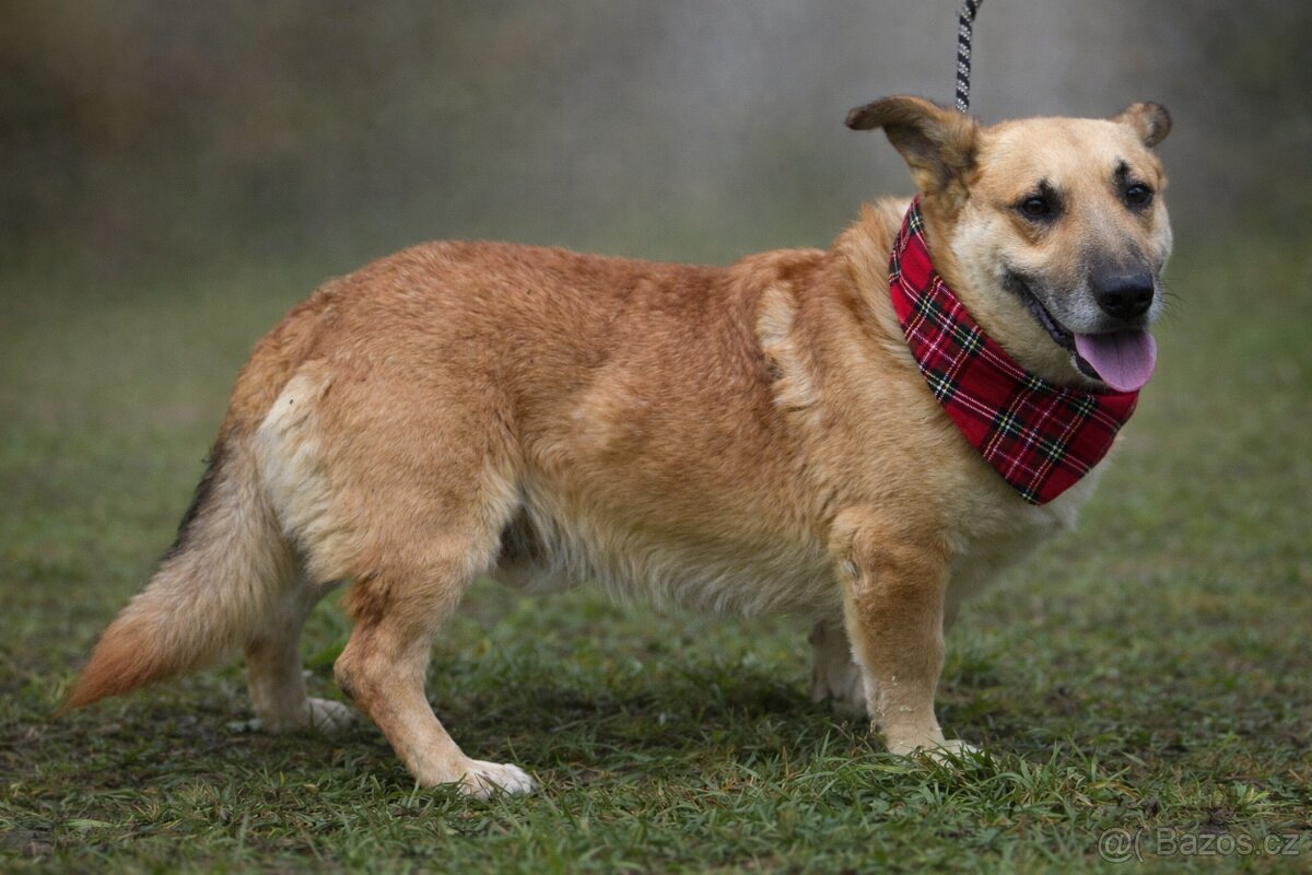 Odin hledá domov - 5