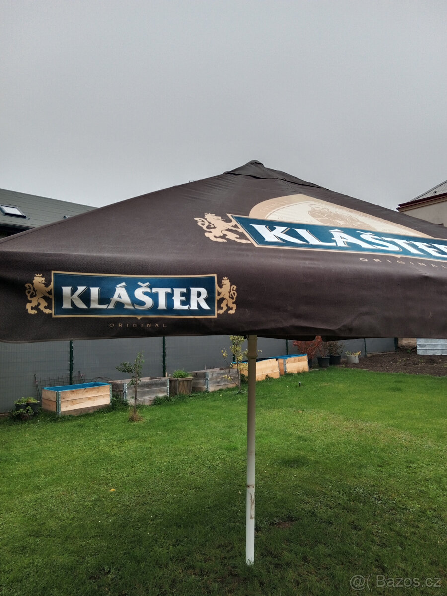 slunečník hospodský - 5