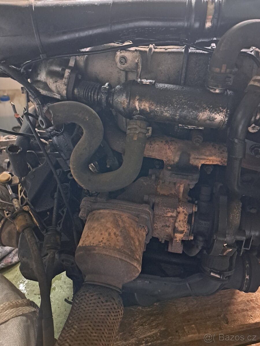 Motor RHS Peugeot/Citroën 2.0HDI 8V 79kW - 5