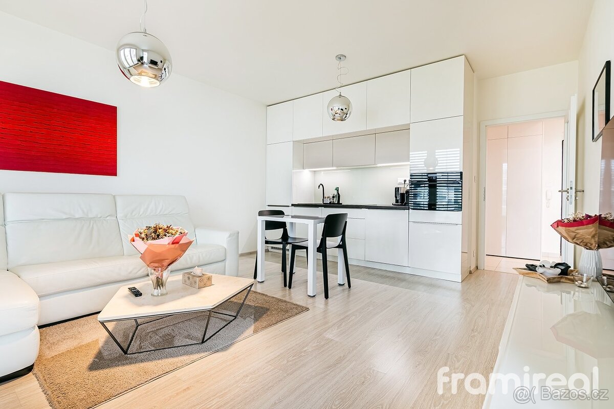 Pronájem bytu 2+kk 57 m², Brno - Sadová, ev.č. 01961 - 5