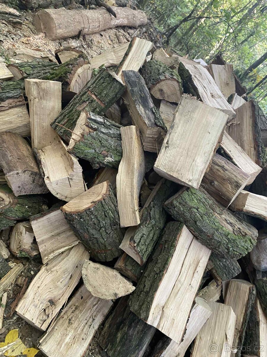 Palivové dřevo přímo pro Vás – od 900 Kč - 5